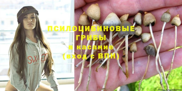 PSILOCYBIN Баксан