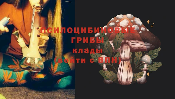 PSILOCYBIN Баксан